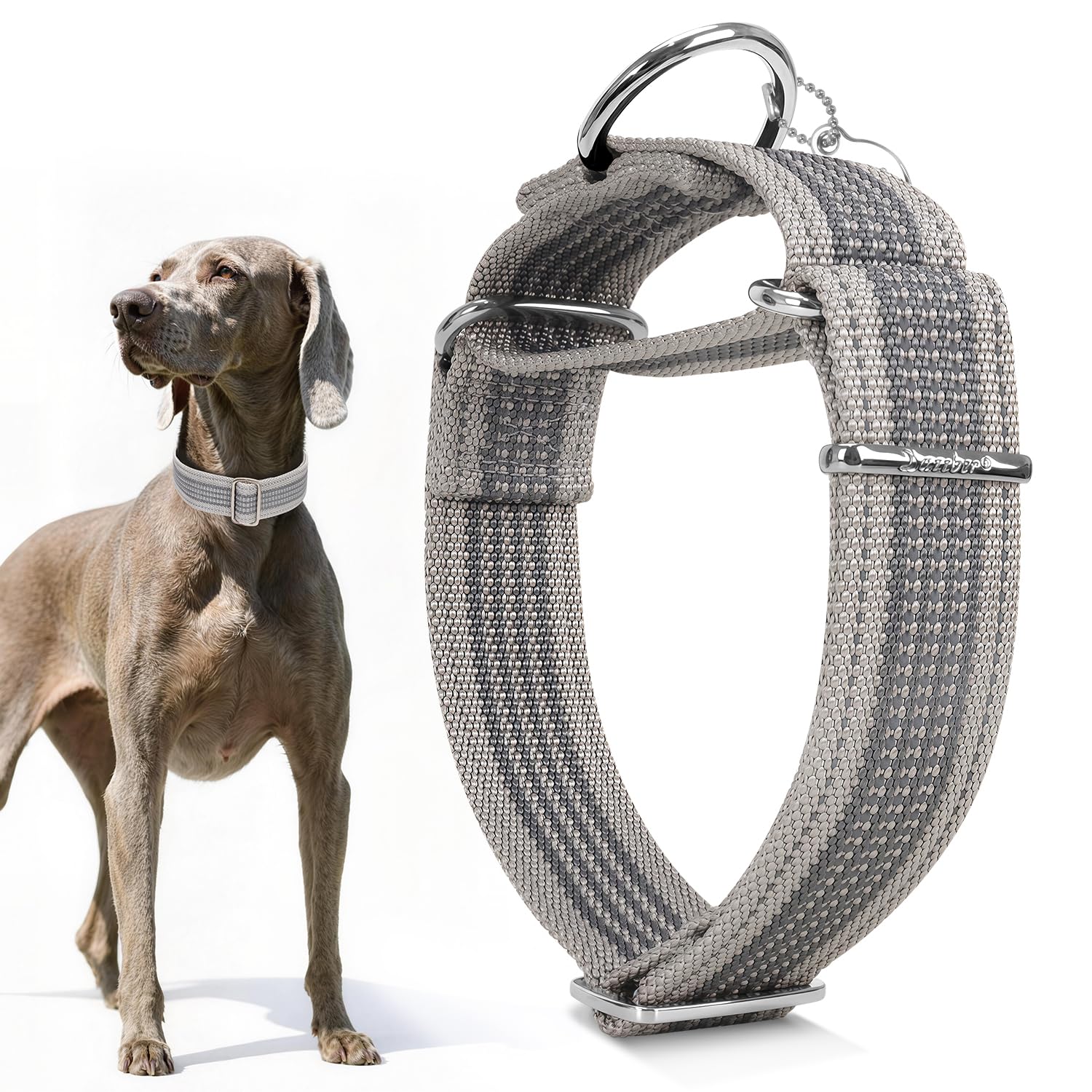 Dazzber 1.5" Martingale Dog Collar, Escape-Proof & Anti-Slip, Extra Strong Reflective Nylon, Adjustable Two-Color Stripe for Medium to Large Dogs (Deep &Light Gray,M)