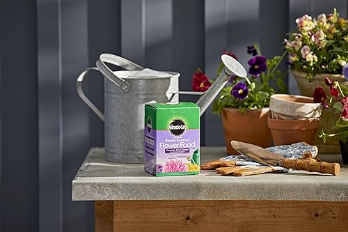 Miniatura 6 de Miracle-Gro Alimento de flores soluble en agua, para uso en todas las plantas anuales y perennes, 1.5 libras, paquete de 2