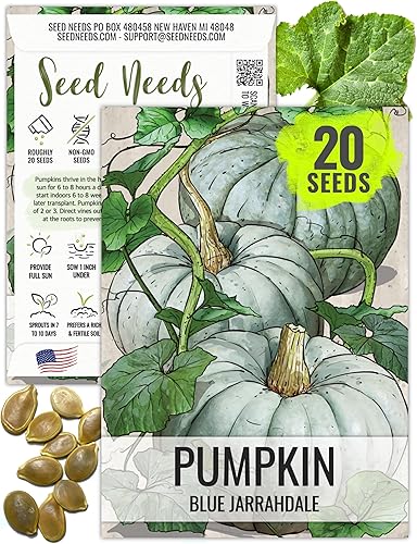 Seed Needs, Blue Jarrahdale - Semillas de calabaza para plantar (Cucurbita Maxima), reliquia, sin OMG y sin tratar, sabrosa calabaza decorativa Seed Needs, Blue Jarrahdale - Semillas de calabaza para plantar (Cucurbita Maxima), reliquia, sin OMG y sin tratar, sabrosa calabaza decorativa