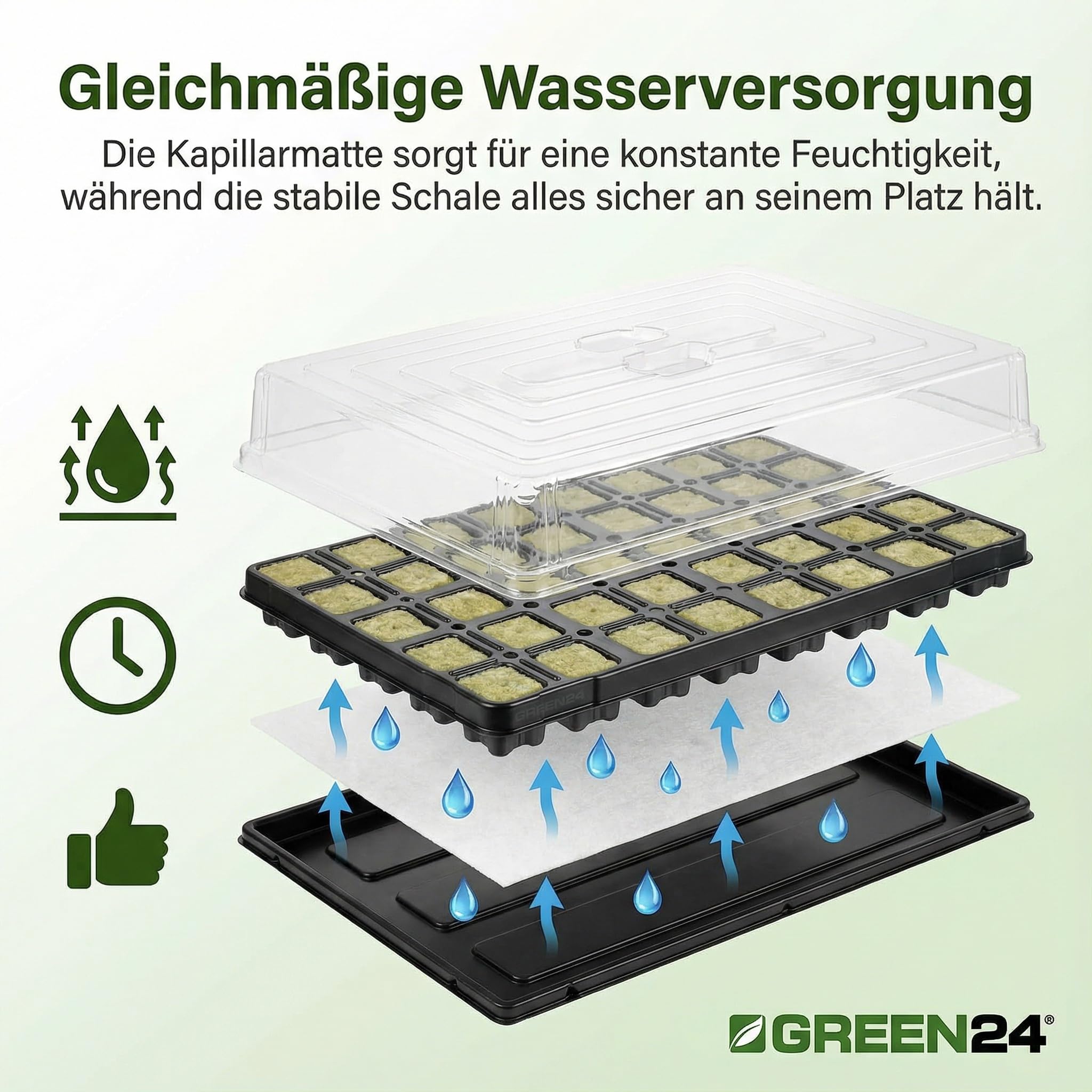 GREEN24 Anzuchthaus STW-40 inkl. 40 Steinwollewürfel 40x40x40mm - Anzuchthaus Steinwolle für Pflanzenanzucht und Hydroponik - Für Samen, Saatgut und Stecklinge