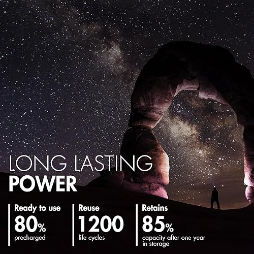 Miniatura 4 de Tenergy TN477U - Cargador rápido de 8 bahías con 8 baterías recargables AA Premium Pro