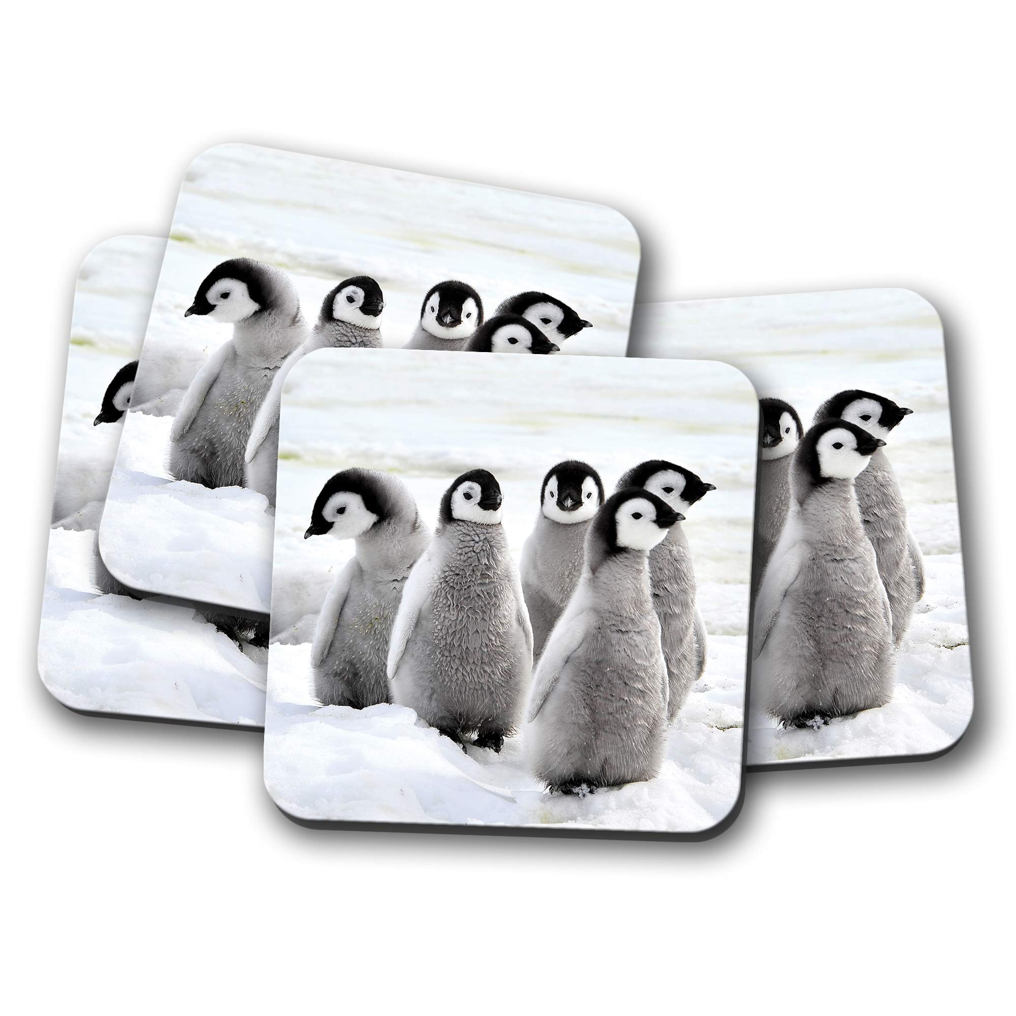 4 Set - Emperor Penguin Chicks Coaster - Antarctica Snow Ice Chick #13280