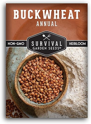 Semilla de trigo sarraceno para plantar, paquete con instrucciones para plantar y cultivar un cultivo de cobertura y plantas de trigo sarraceno en