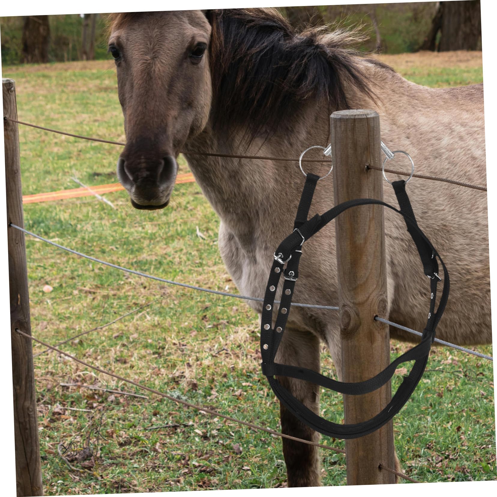 Cabezada De Nylon para Caballos Diseño Cómodo Mordida para Entrenamiento y Montura Talla Altura