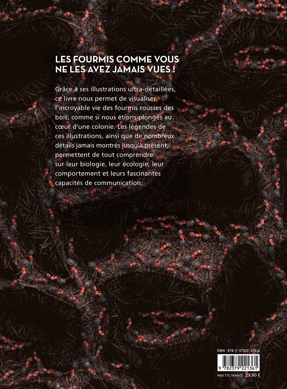 Fourmis - Vie et intelligence collective d'une colonie