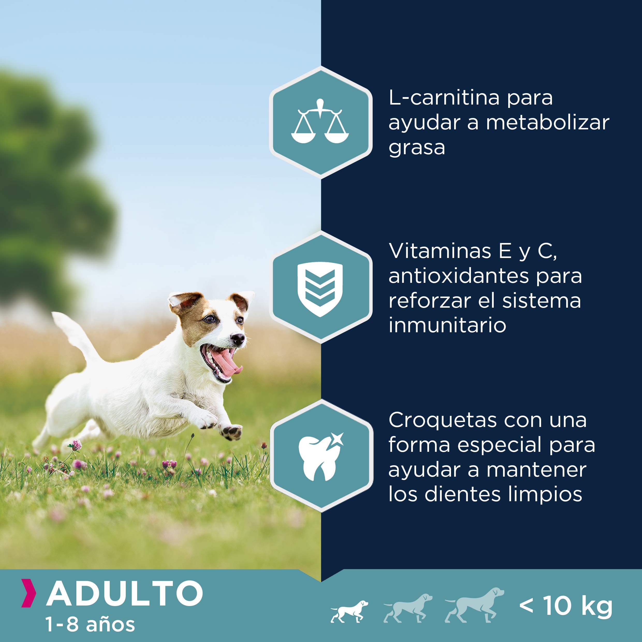 Eukanuba, alimento para Perros con Pollo fresco para Razas pequeñas - Alimento seco Premium para Perros Adultos, 15 kg