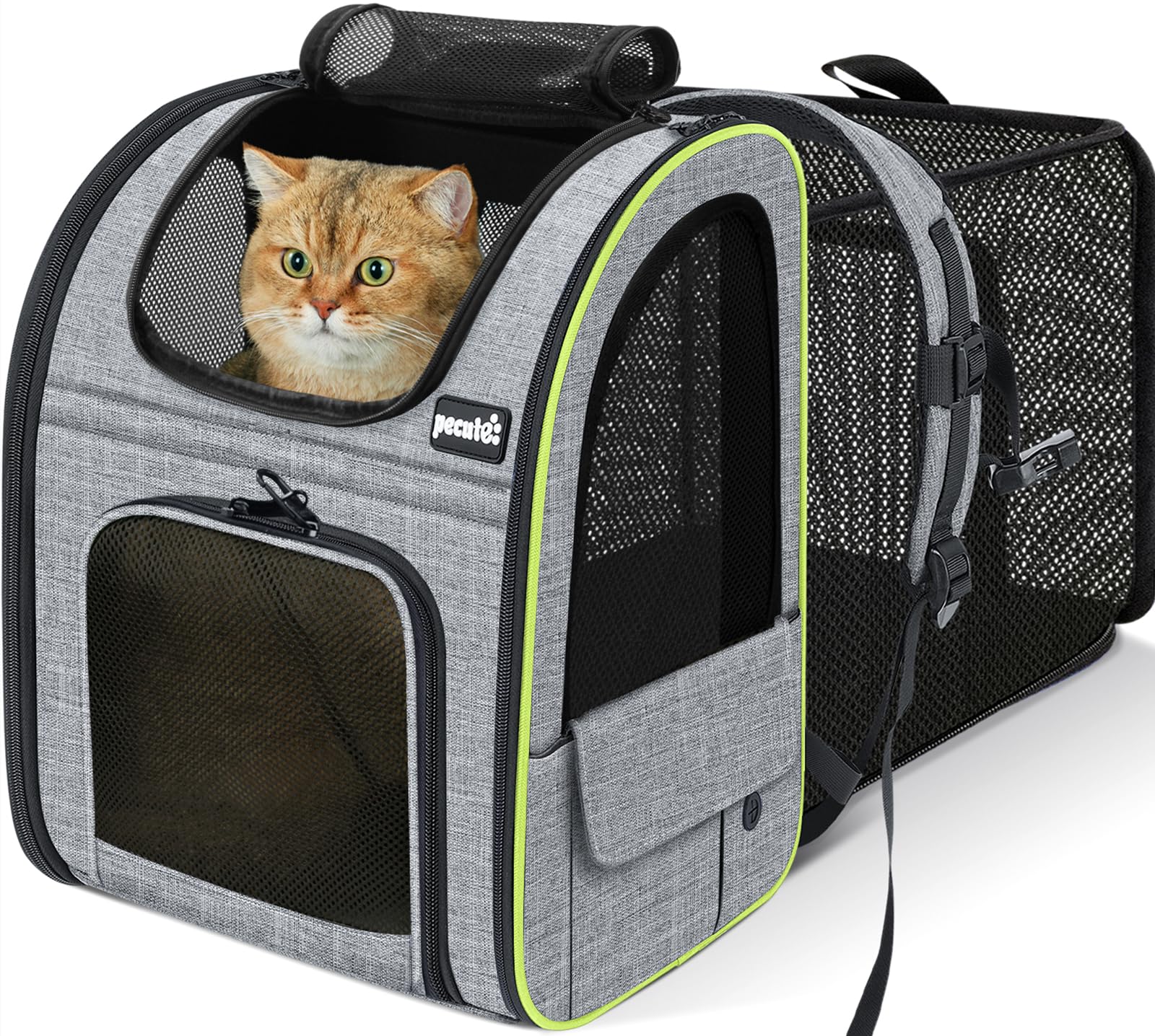 Pecute Zaino per Cani Gatti Estensibile, Cuccia Portatile, Trasportino Estraibile Indicato per Viaggi Sia Lunghi Che Corti, Grigio