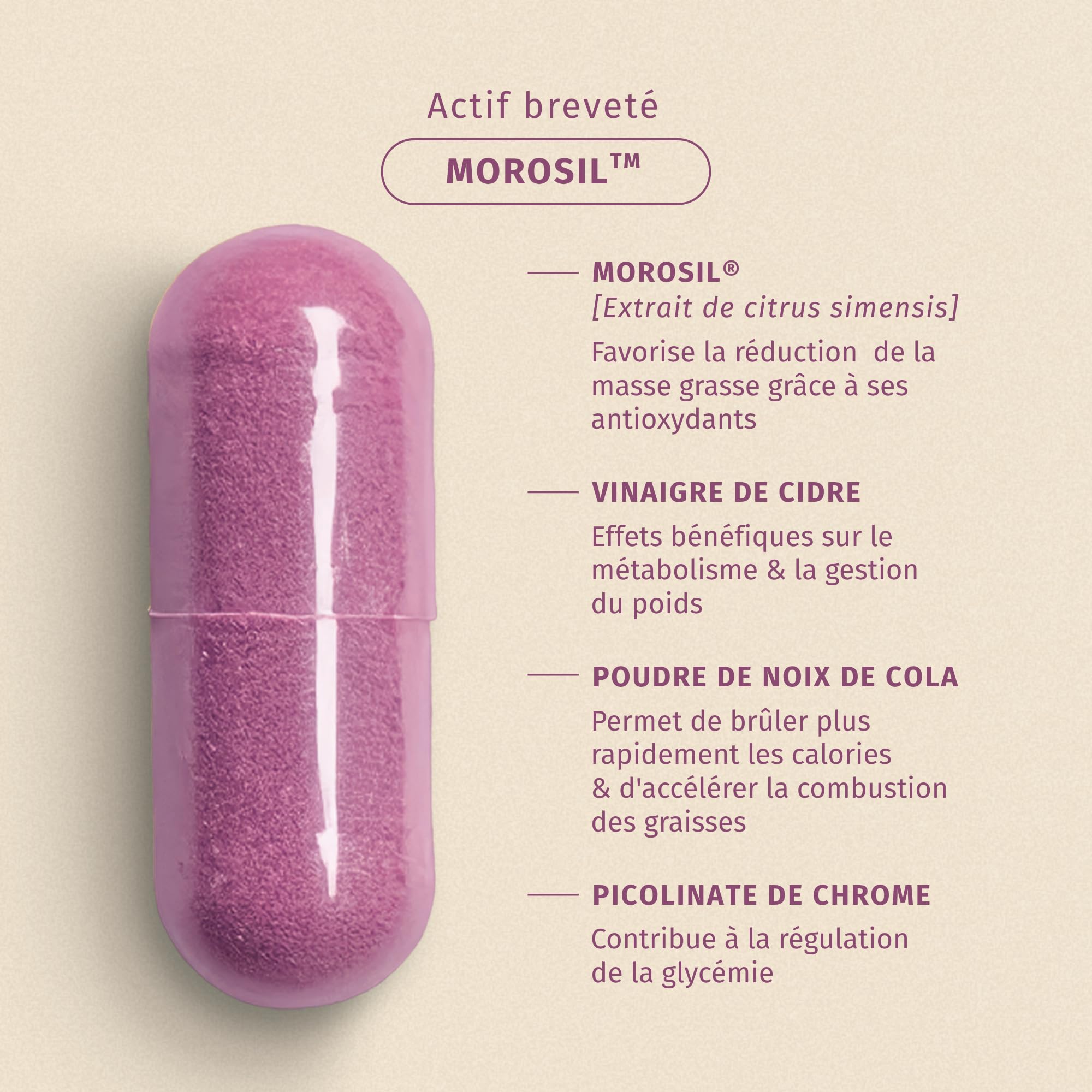 Morosil ® + vinaigre de cidre | Contrôle du poids, digestion & régulation de la glycémie | 60 gélules gastro-résistantes | Fabriqué en France | Valebio