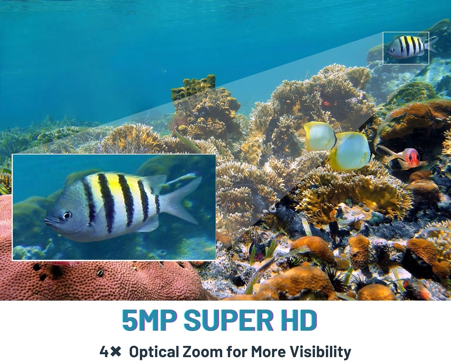 An underwater scene with fish, showing a magnified section indicating 4x optical zoom for more visibility.