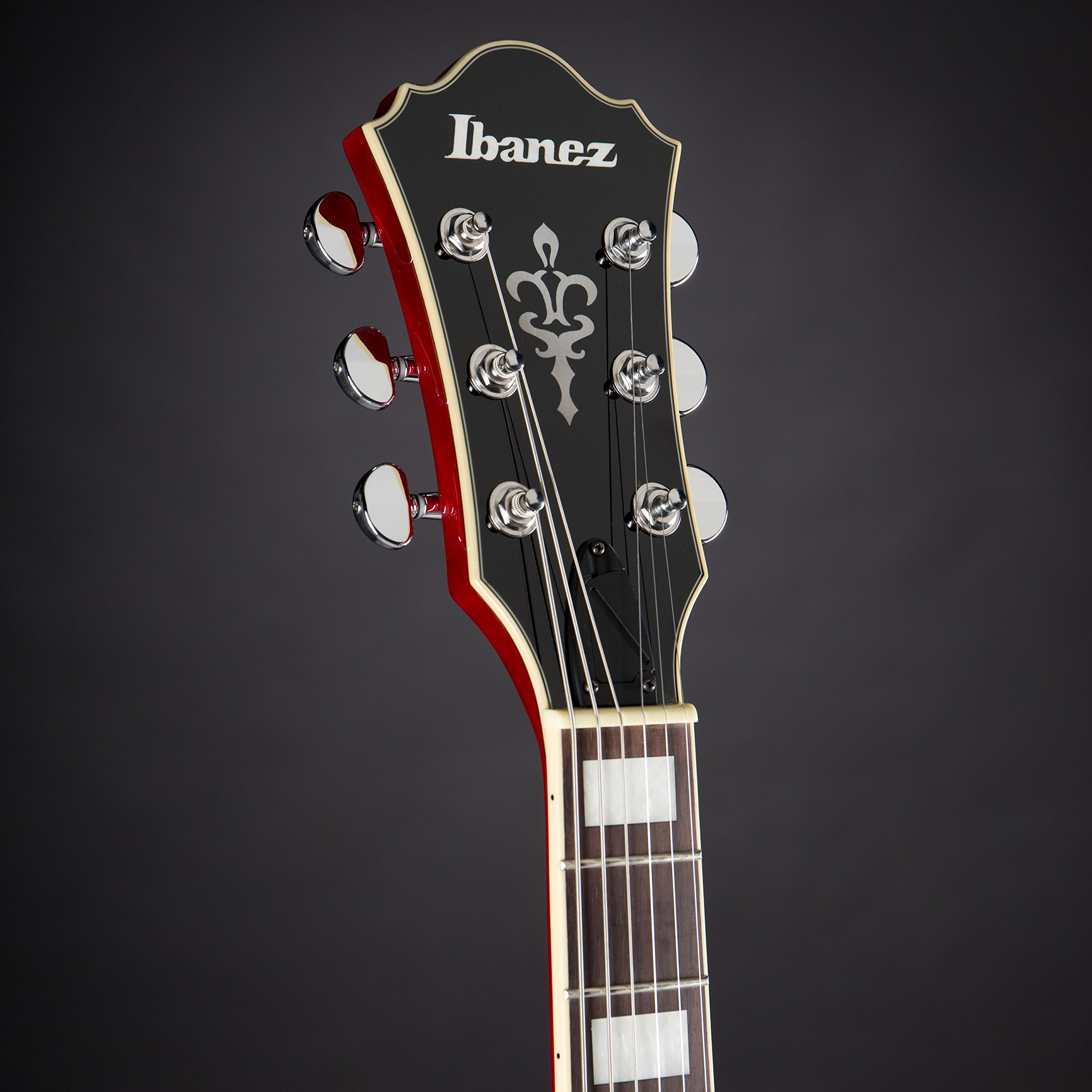 Amazon | Ibanez/アイバニーズ 薄胴フル・ホロウ・エレクトリック