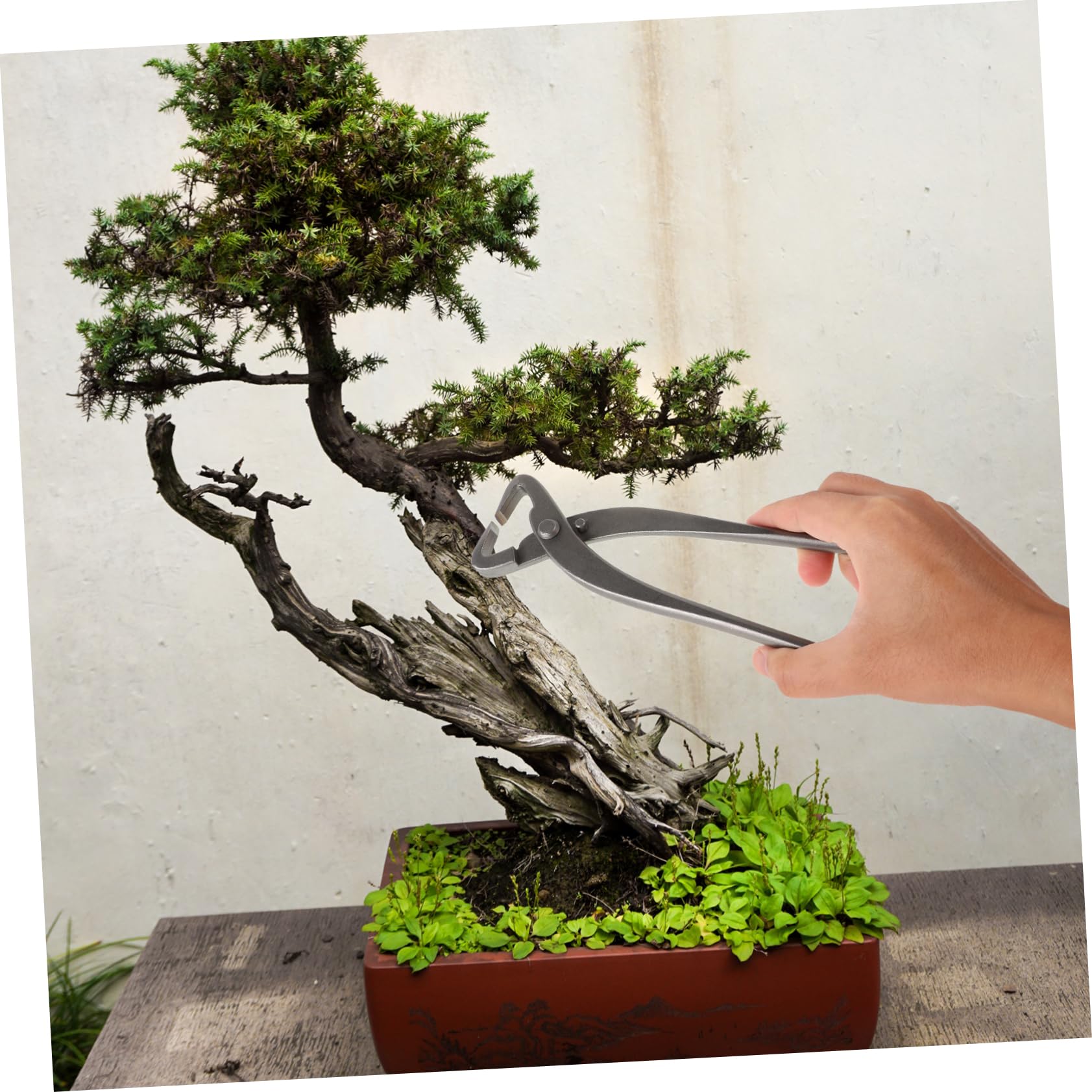 Taglia Bonsai in Acciaio al Carbonio Argento per Potatura Precisa