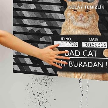 Monnhein Kedi Köpek Komik Tasarımlı Dekoratif Kapı önü Paspas, Dış Mekan/Ev İçi/Banyo/Mutfak/Yatak Odası/Giriş Paspasları (Git Buradan, 45x70)