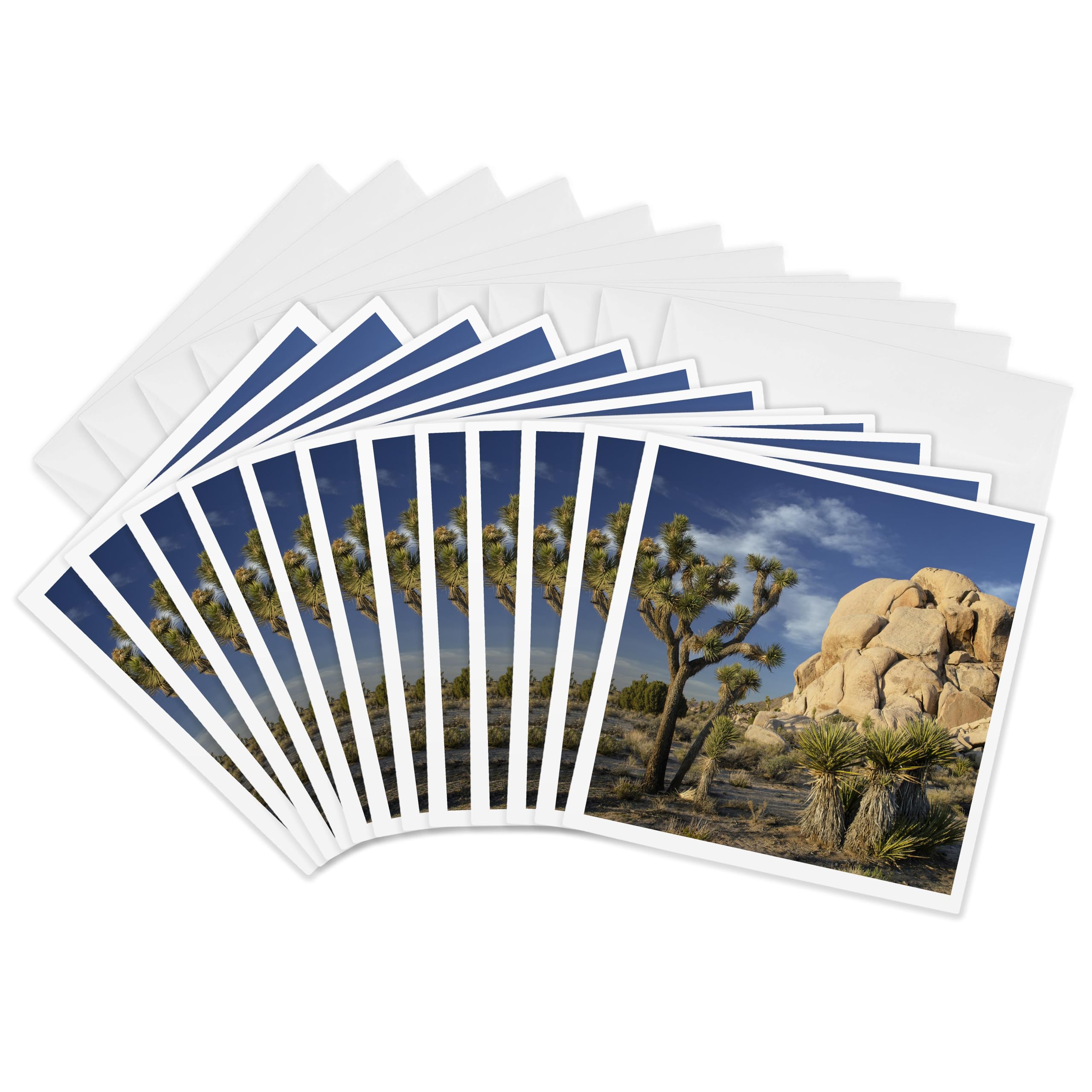 3dRose Greeting Cards - USA, California. Joshua Tree, Joshua Tree National Park. - 12 Pack - California