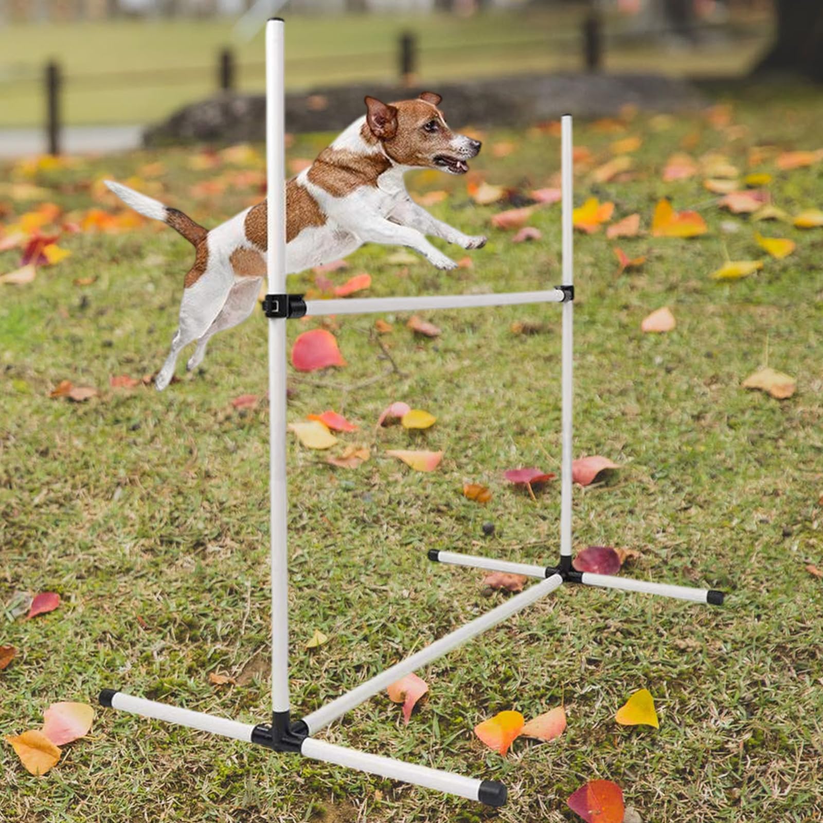 Kit de entrenamiento de agilidad para mascotas con 4 postes de altura ajustable, diseño portátil con bolsa de almacenamiento
