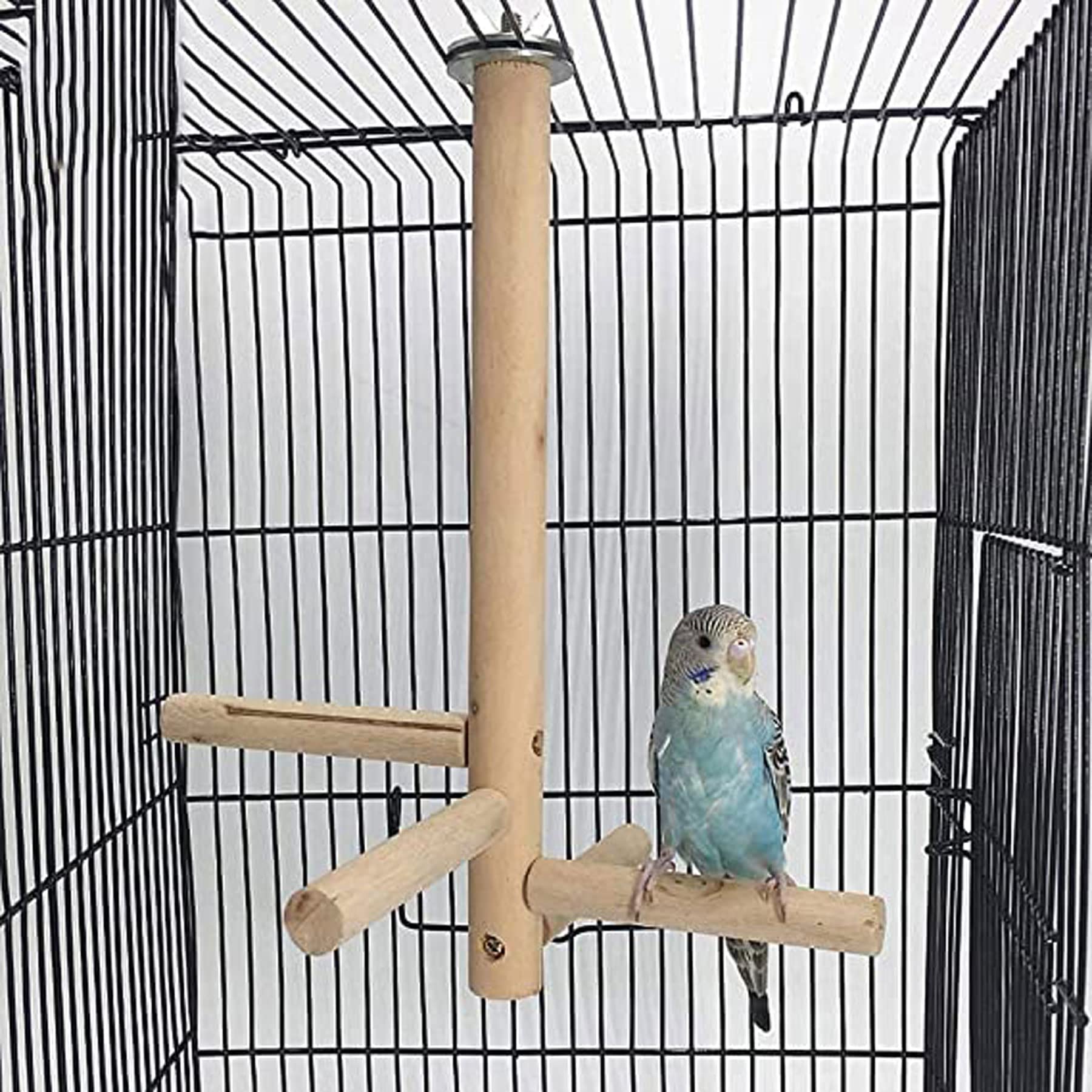 Cosy tossy Small Birds Parrot Perch Toys Natural Wood Jumping Standing Toy (B08F7C85LN) Amazon Price History, Amazon Price Tracker