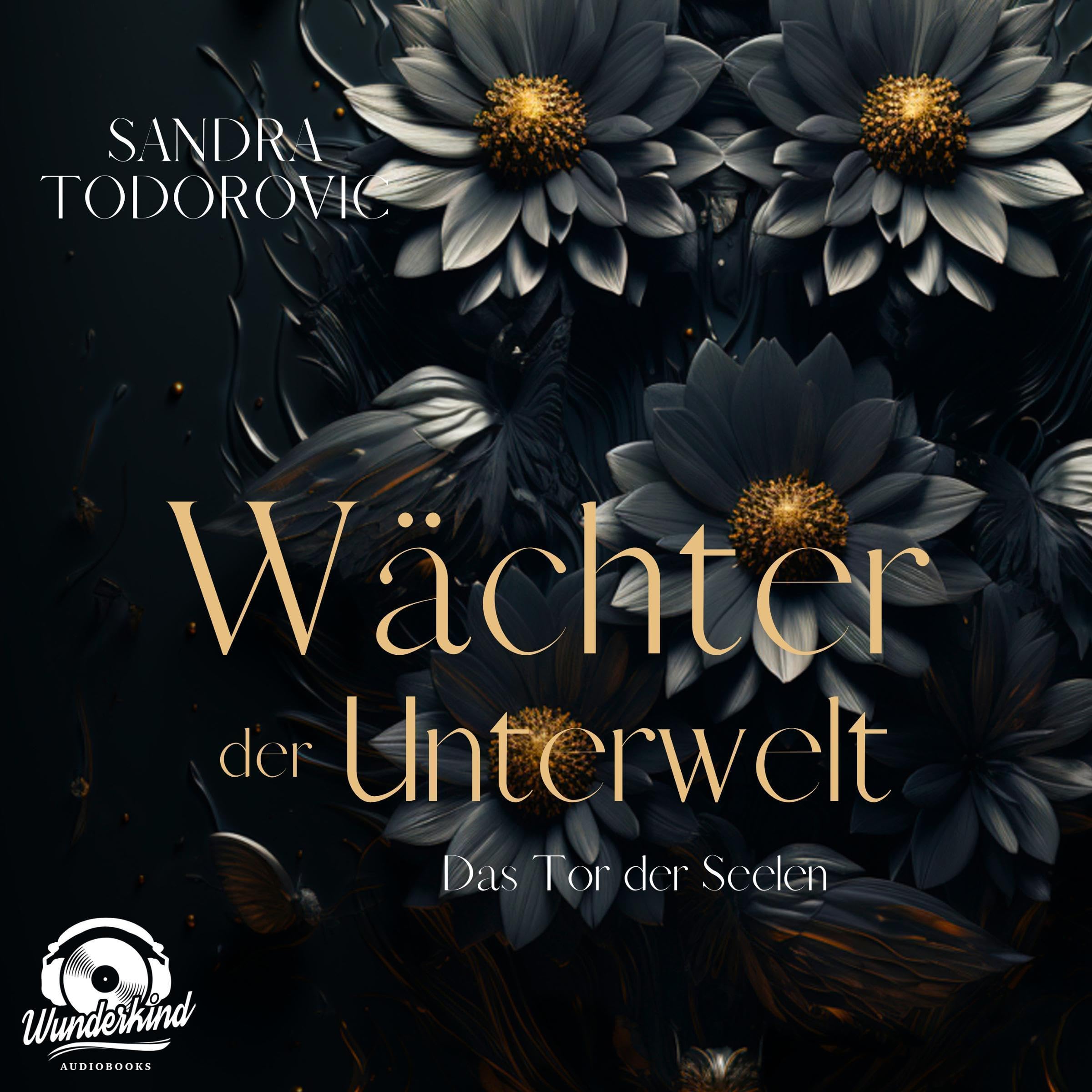 Cover art for Das Tor der Seelen