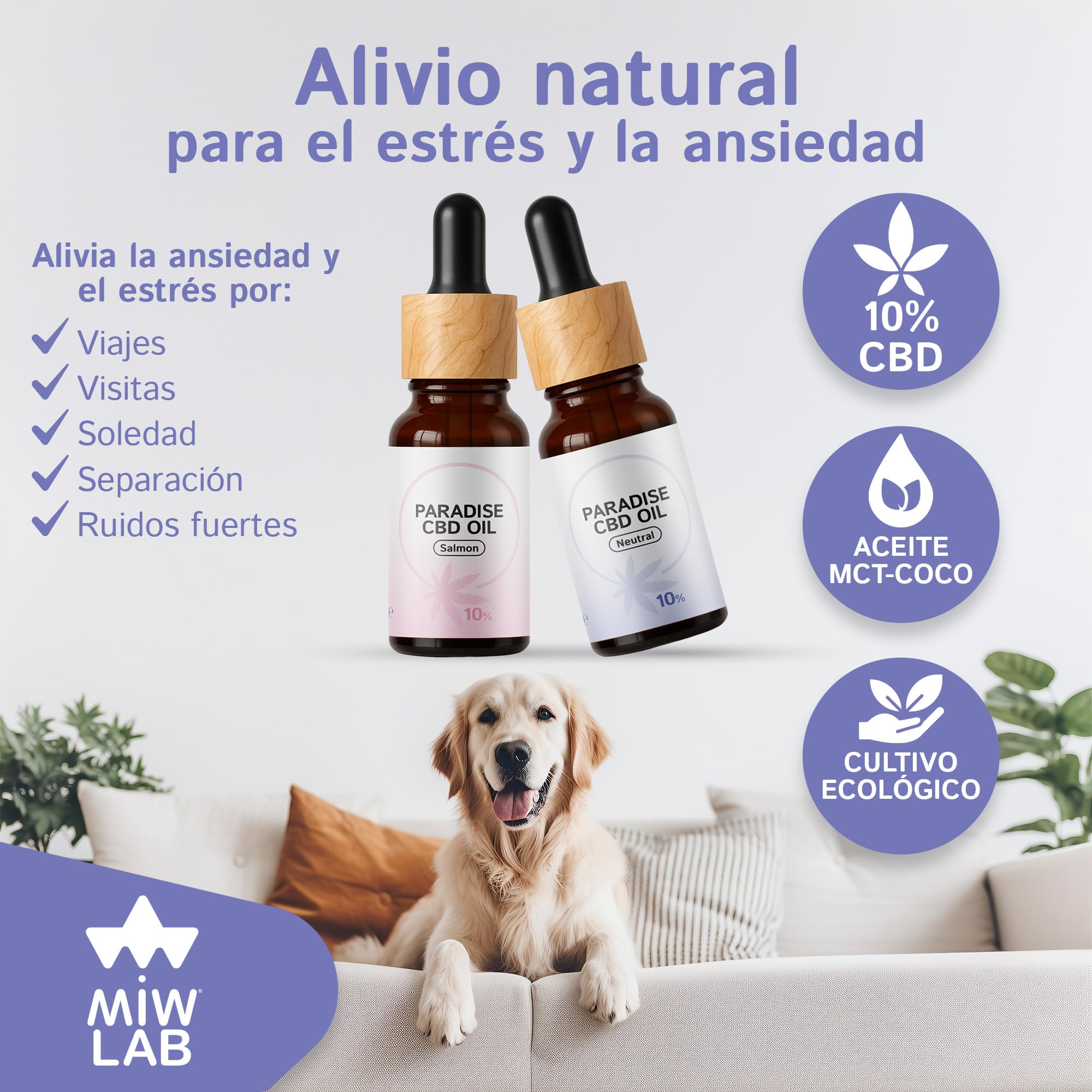 Paradise Aceite 10% CBD Relajante Natural para Gatos y Perros Hecho en España 240 Gotas Calmantes con Cannabidiol Tranquilizante de Ansiedad Dolor y Recuperación del Apetito Digestión y Articulaciones