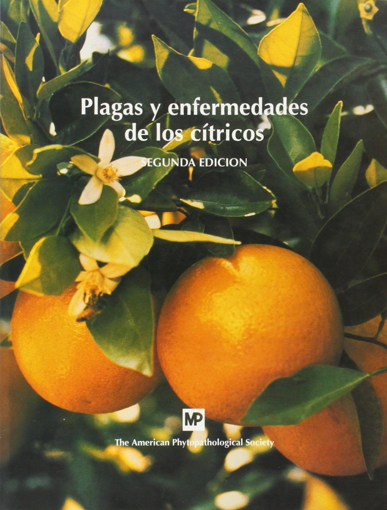 Plagas y enfermedades de los cítricos (Patología Vegetal)