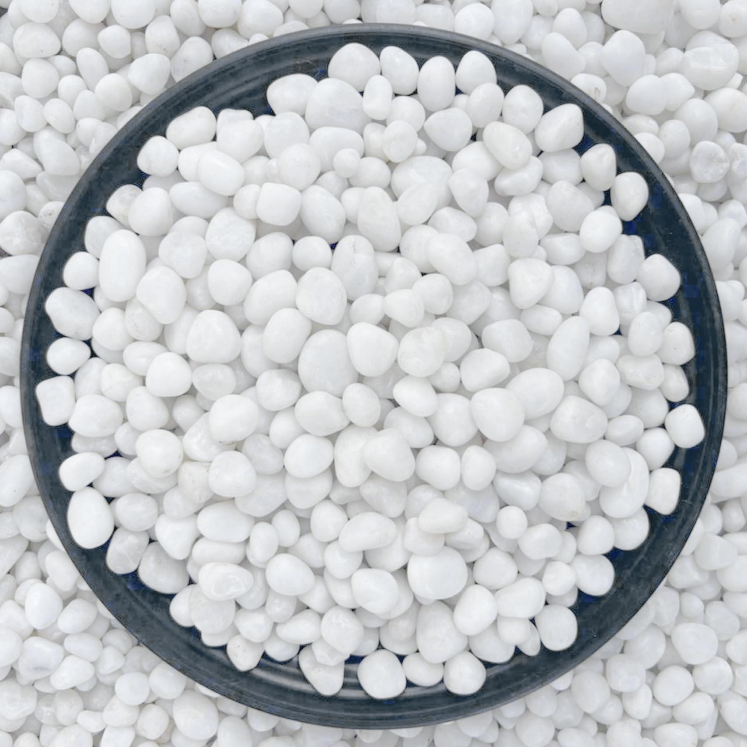 Foodie Puppies Natural Polished Decorative White Stones - (Small, 5Kg) (0.5cm - 2cm) for Home Decoration, Vase Filler, Aquarium/Fish Tank, Garden and Swimming Pool | River Pebbles Unplanted Substrate-image-10