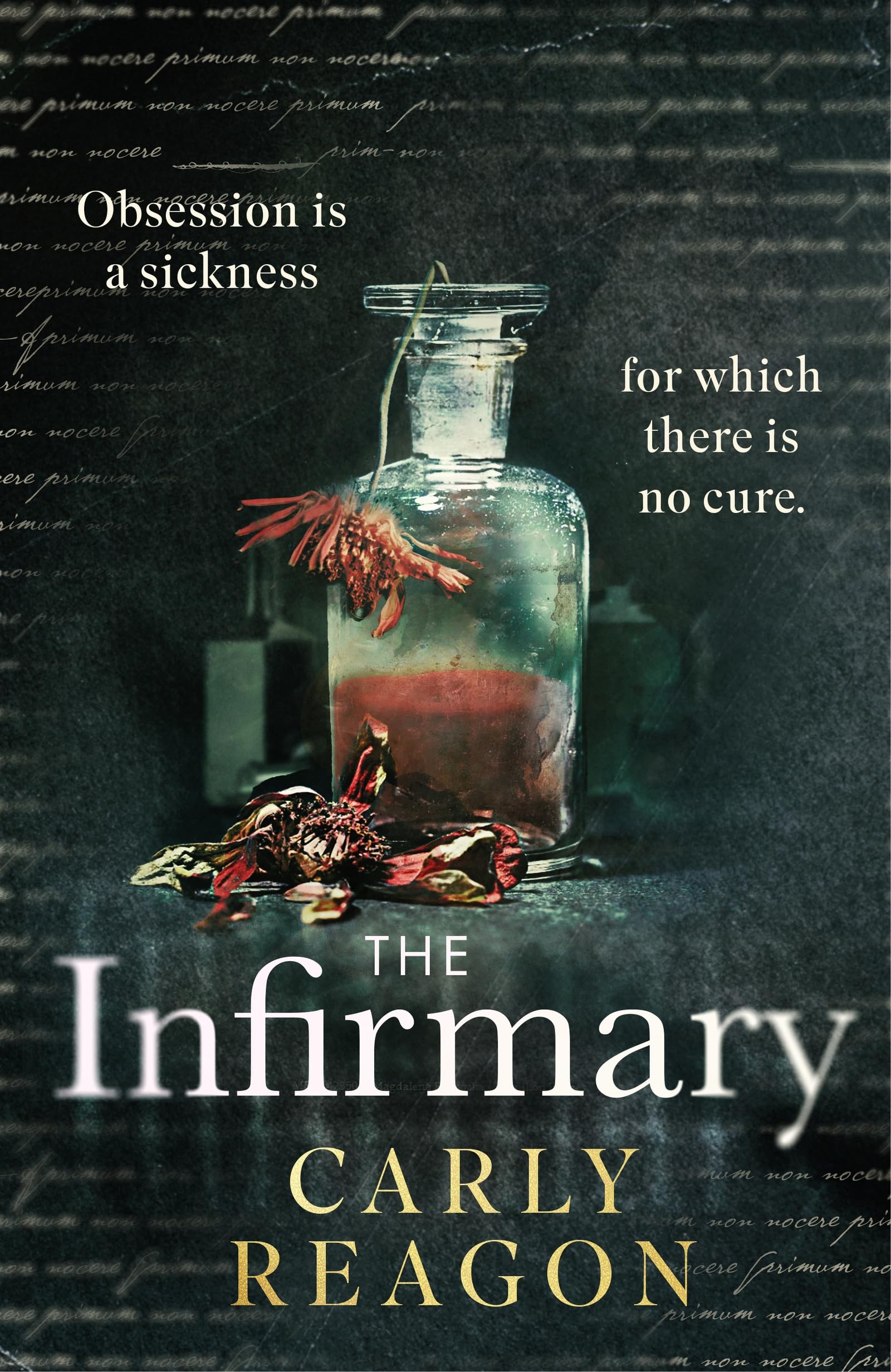 The Infirmary by Carly Reagon (Hardback Book)