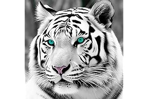 DIY 5D Diamond Painting Kits for Adults - White Tiger