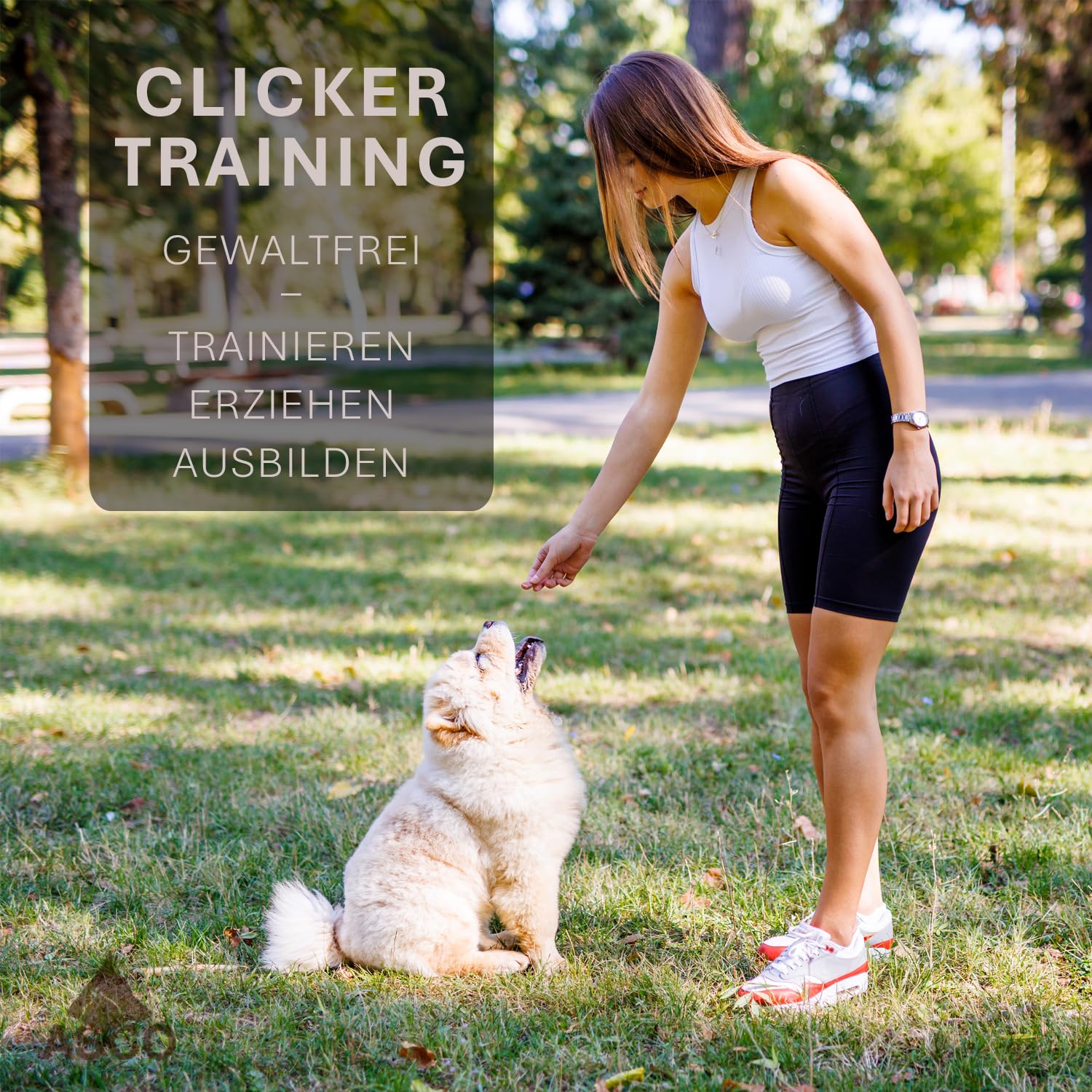 ASCO ASCO-01PA - Clicker per cani e gatti di alta qualità, con cinturino elastico, colore: Nero