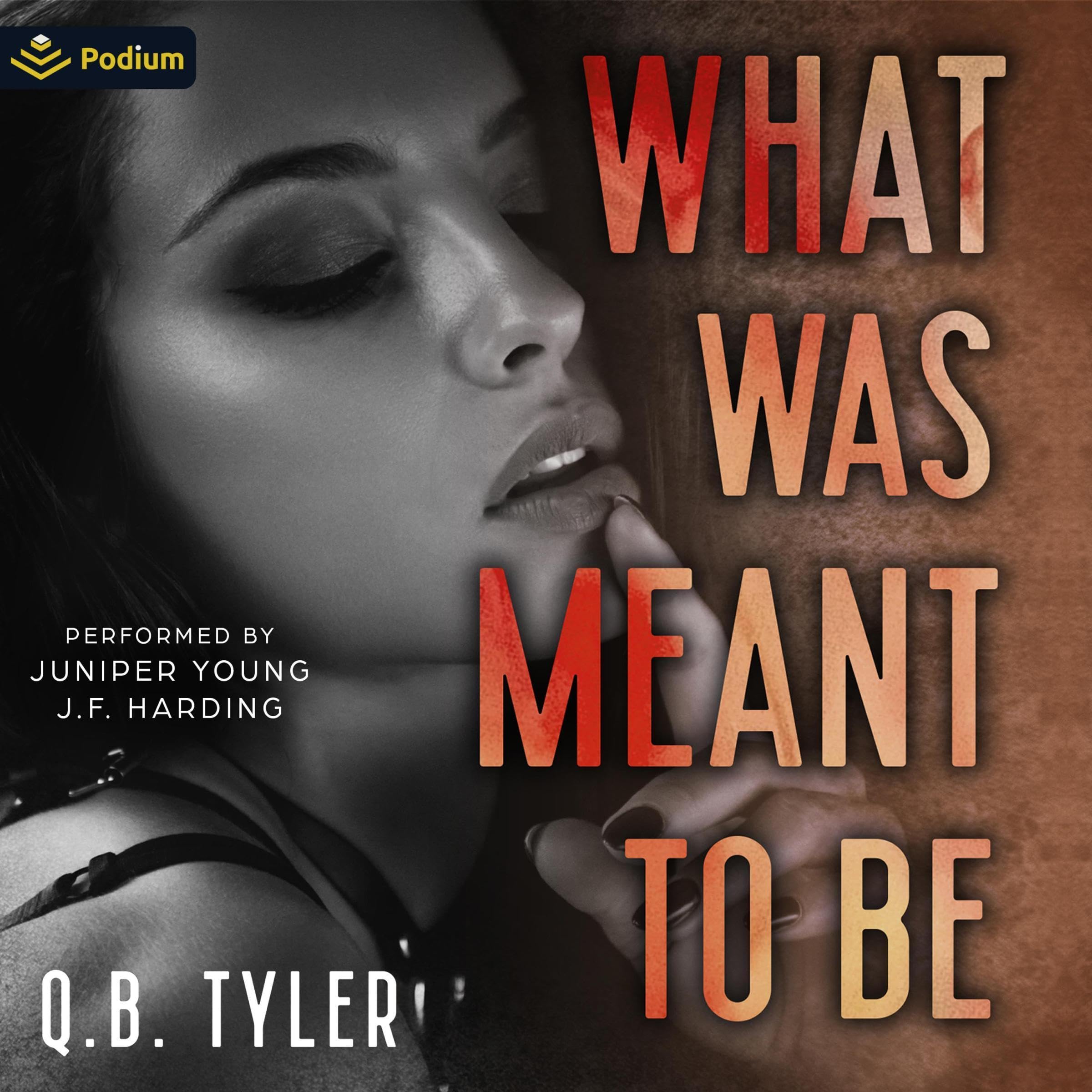Cover art for What Was Meant to Be