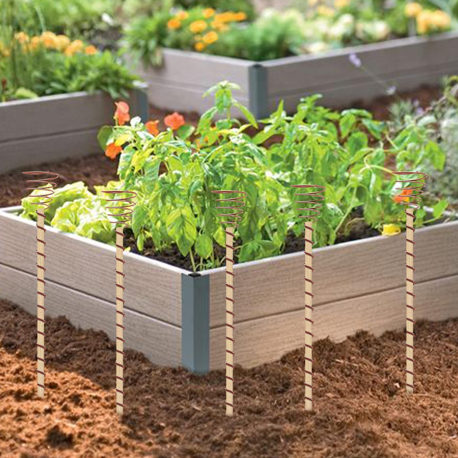 Antenna in Rame per Elettrocoltura | Aste per Elettrocoltura da 35 cm - 10 pezzi lunghi di da Giardino e Bobine in Rame per le Piante, Attrezzi da Giardino - per SuppPiante da e