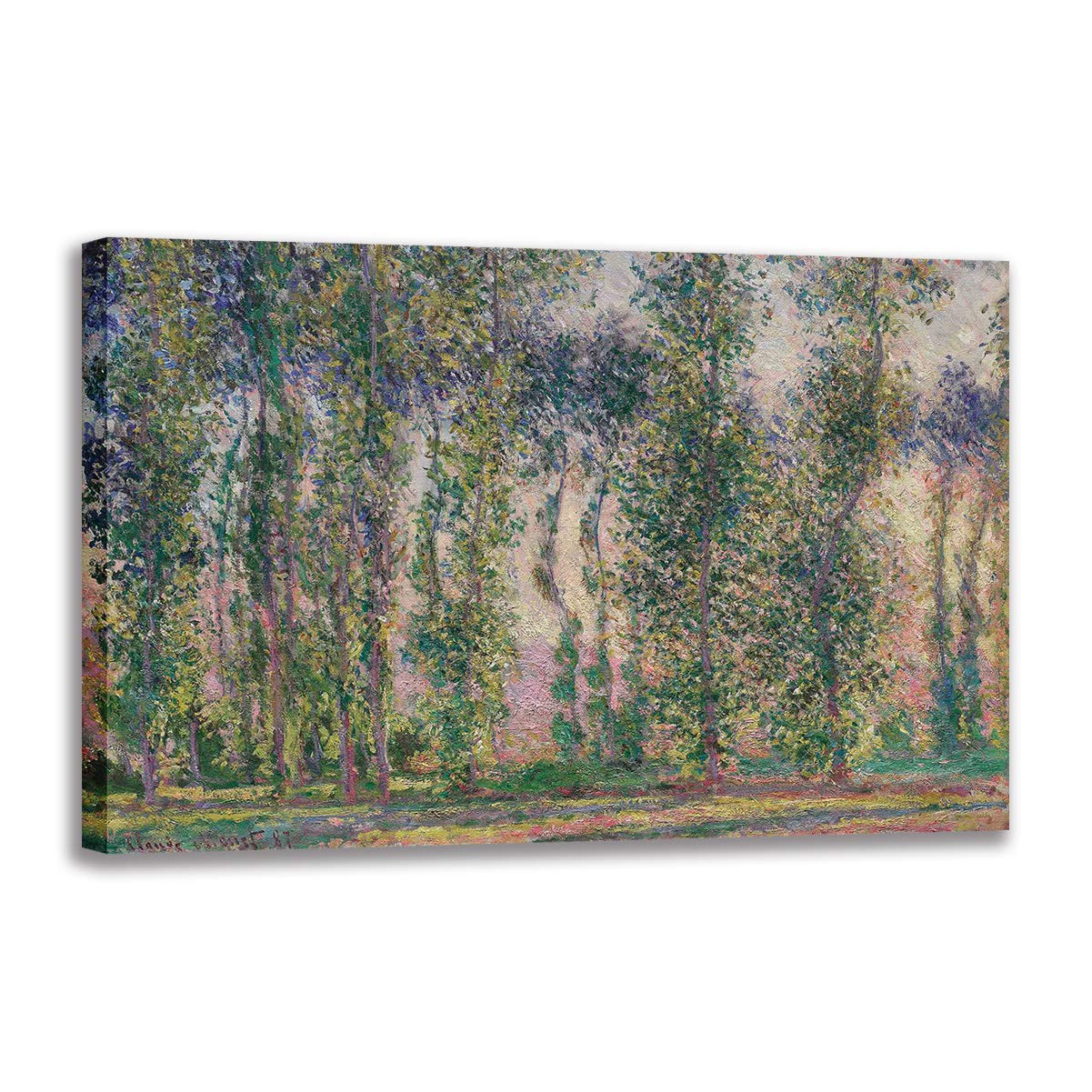 Lienzo decorativo de Gustav Klimt, reproducción artística de paisaje famoso en 50x70 cm