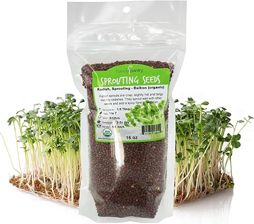 Semillas de germinación de rábano orgánico semillas de rábano sin OMG para brotar cocinar sopa almacenamiento de alimentos hidroponía jardinería y