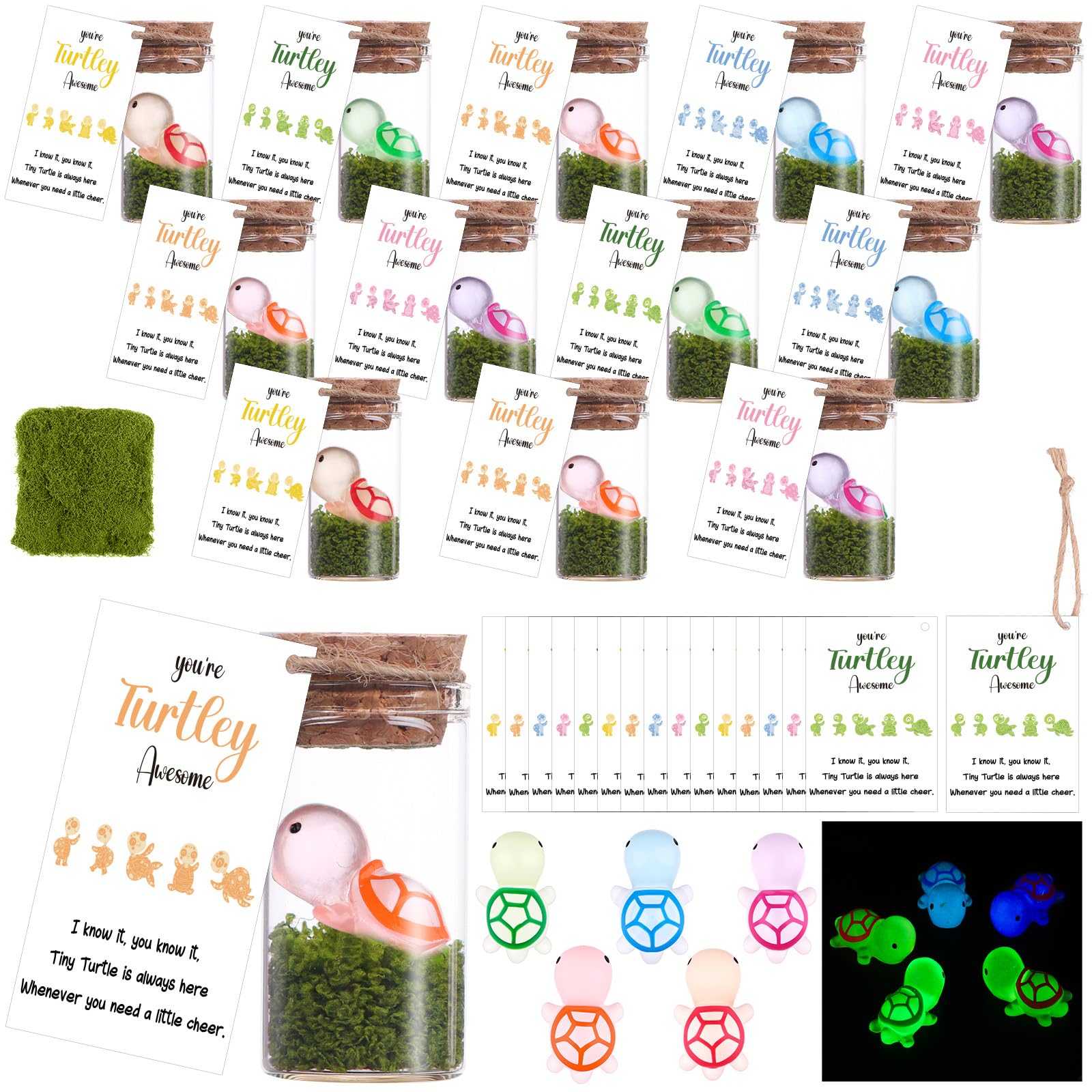 15 Sets You're Turtley Awesome Inspirational Gift 15 Luminous Mini Resin Turtles 15 Turtle Greeting Cards 15 Glass Bottles and Artificial Moss for Coworker Employee Appreciation Gifts Pocket Favors
