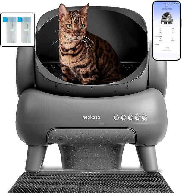 PetSnowy