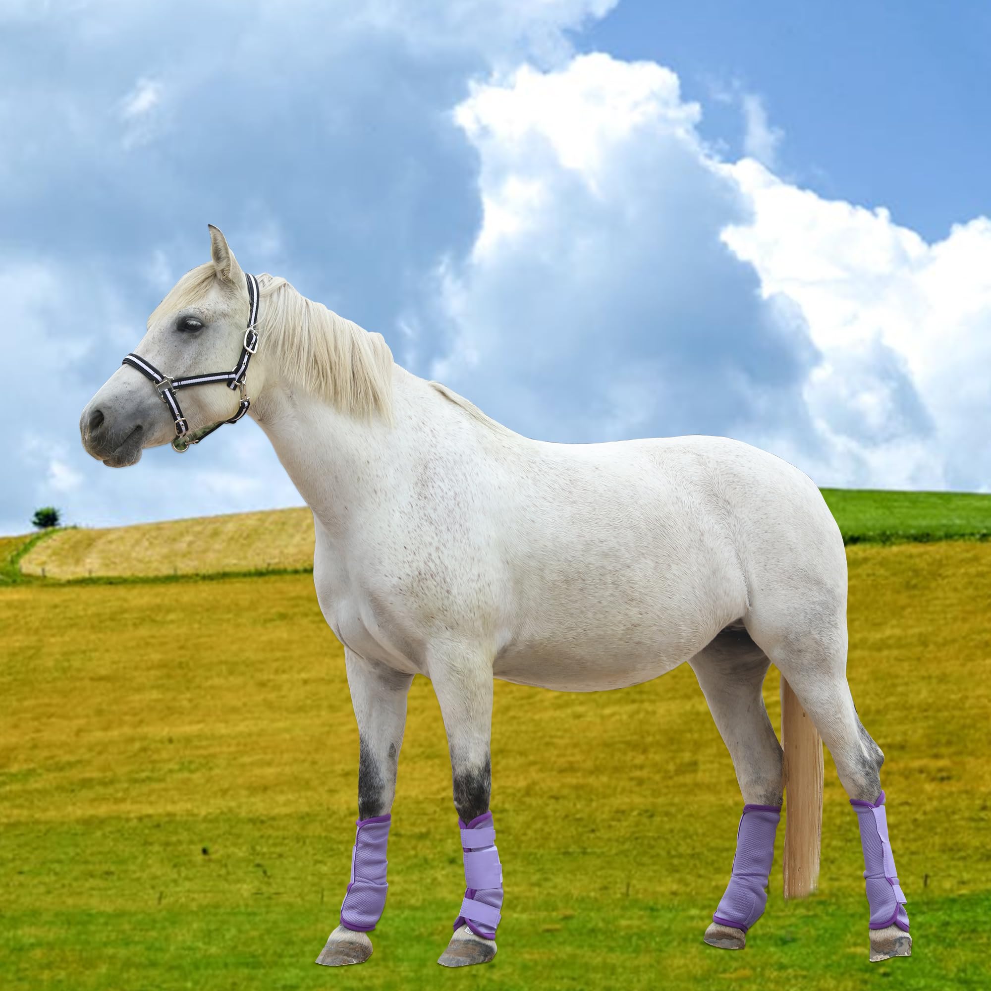 Stinchiere Cavallo Equitazione, Ghette Antimosche Traspiranti per Cavalli a Maglia fine, con Funzioni Protettive e di Sostegno, Protezione dai UV