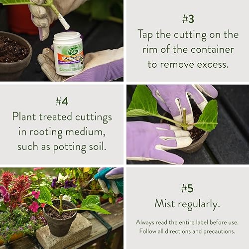 Miniatura 5 de Garden Safe Marca TakeRoot - Hormona de enraizamiento, ayuda a las nuevas plantas a crecer a partir de esquejes, 2 onzas, paquete de 2