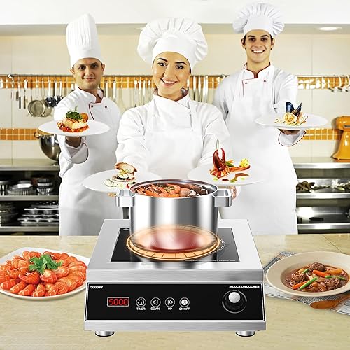 Miniatura 2 de VBGK Cocina de inducción comercial, placa de inducción profesional, placa caliente de 5000 W con control táctil LCD y perilla temporizador de 4