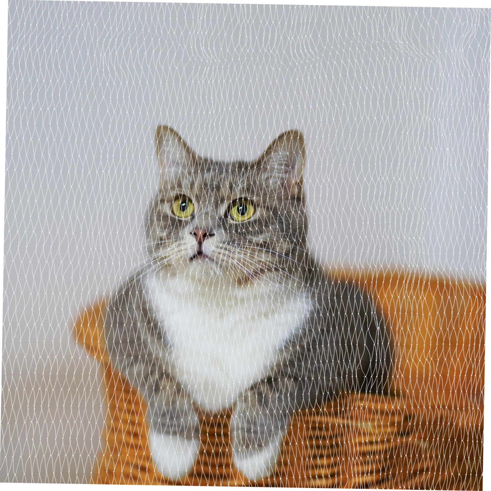 iplusmile Katzennetz für Balkon und Fenster Sicherheitsnetz aus Nylon Absturzsicherung für Haustiere Kletternetz für Katzen ohne Bohren Schnell Montiert Engmaschig für Terrasse und Dach