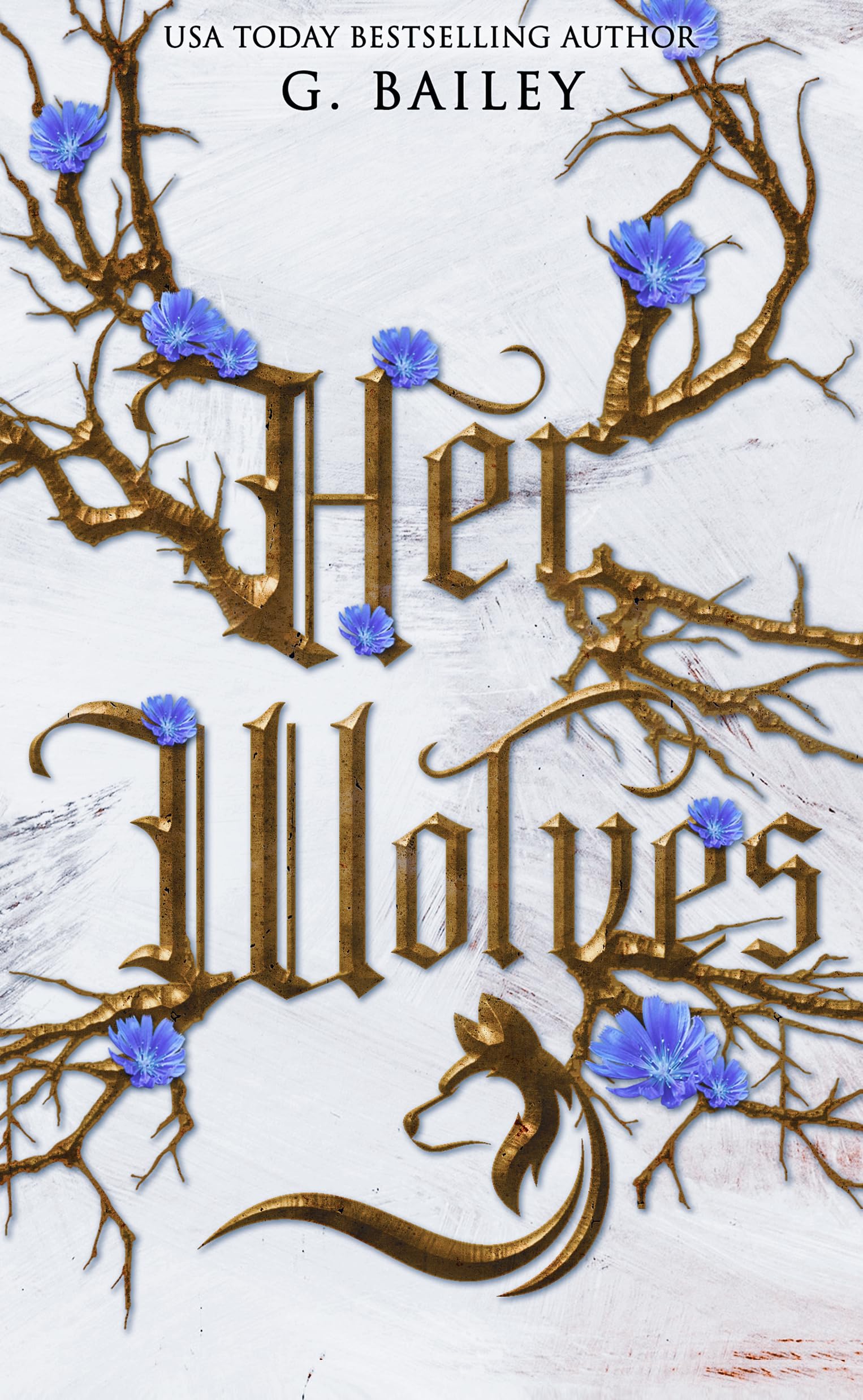 Her Wolves: A Rejected Mates Romance (Fall Mountain Shifters Book 1)