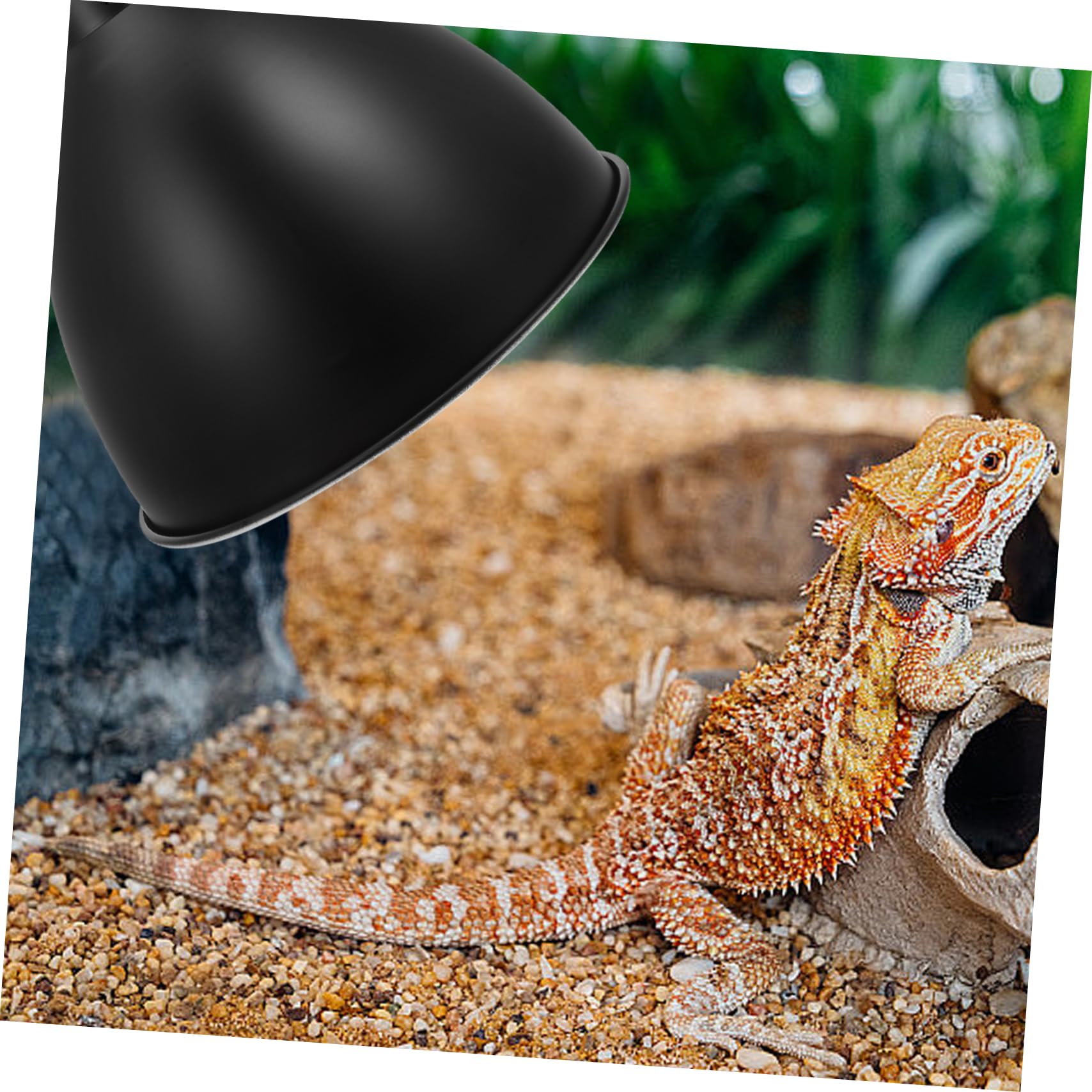 2Er-Box Reptilien lampen Schirm Beleuchtungsschirm für Reptilienhabitate UVB-Lampe Reptilienlampenschirm Reflektorlampe für Reptilien Lampenschirm für Reptilienbecken Eisen Black