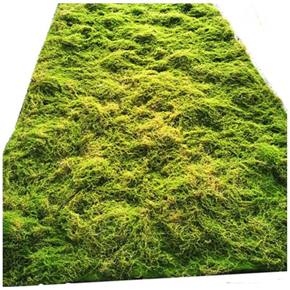 人工観葉芝生 W1.0 人工芝 トリックフィールド ライト 1巻 住友林業緑化