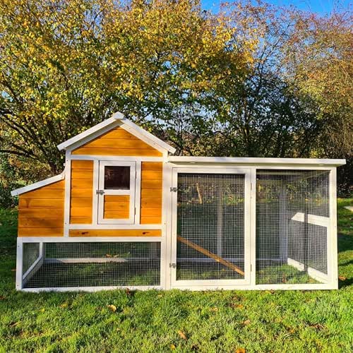 Animal Valley Poulailler 6 à 8 Poules Toit Plastique, XL,
