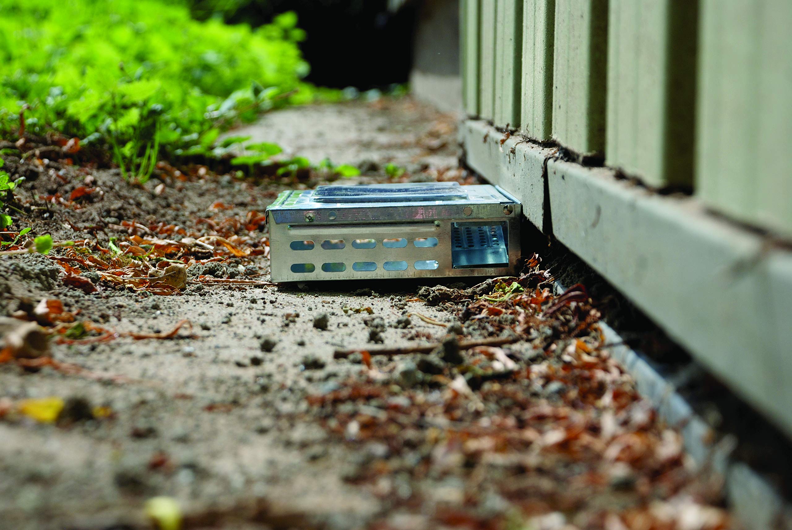 Buy The Big Cheese Ultra Power Live MultiCatch Mouse Trap (Humane