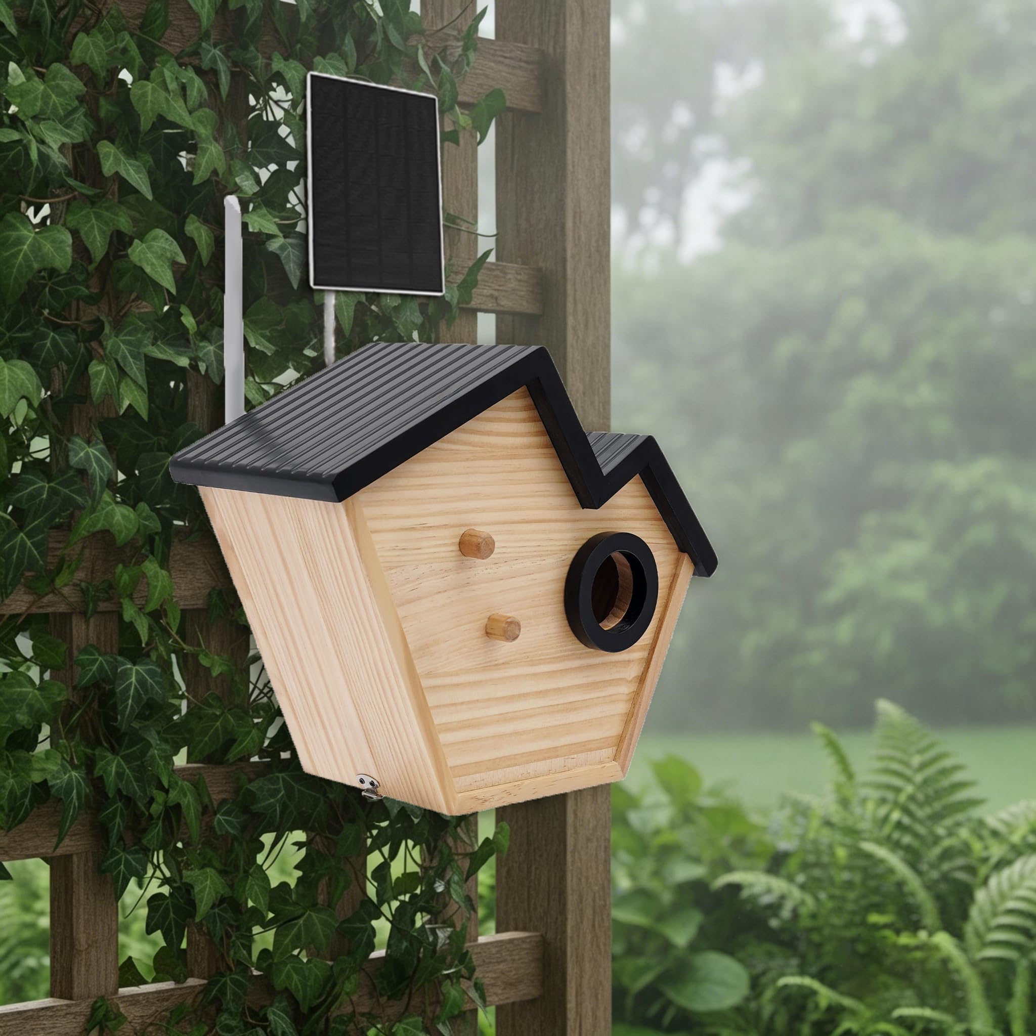 Nistkasten mit Kamera, Solar, AI-Erkennung, WiFi, IP65, Kiefer