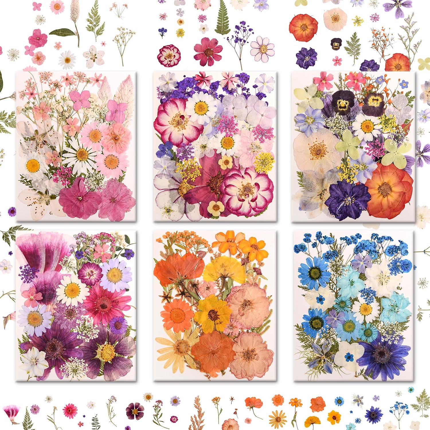 Real Pressed Flowers, 182 Pieces