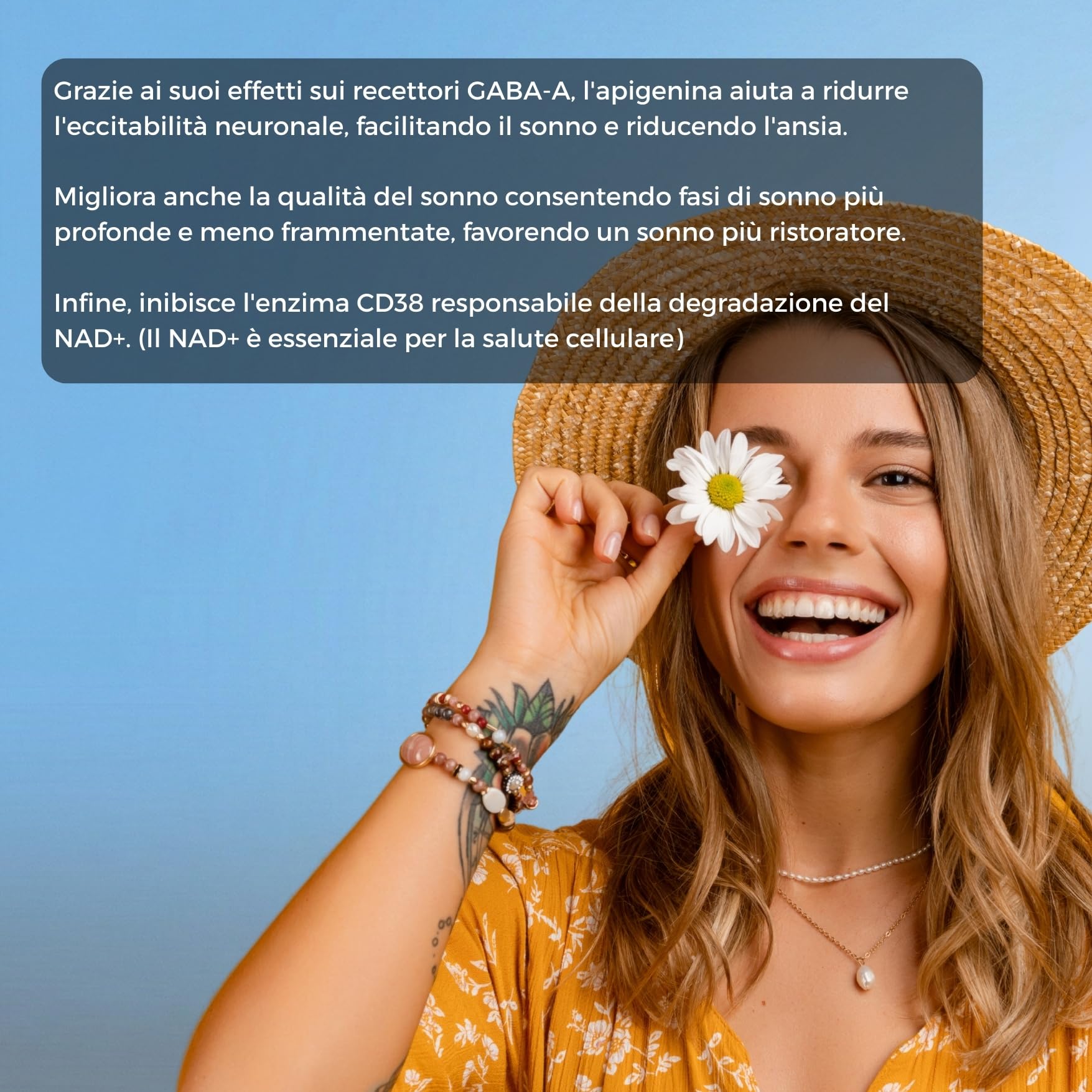 Apigenina Pura ✦ Estratto di Camomilla ✦ Rilassamento & Sonno Ristoratore ✦ Antiossidante & Longevità ✦ Potenzia il NAD+ ✦ 100% Naturale & Senza Additivi ✦ Azienda Francese ✦