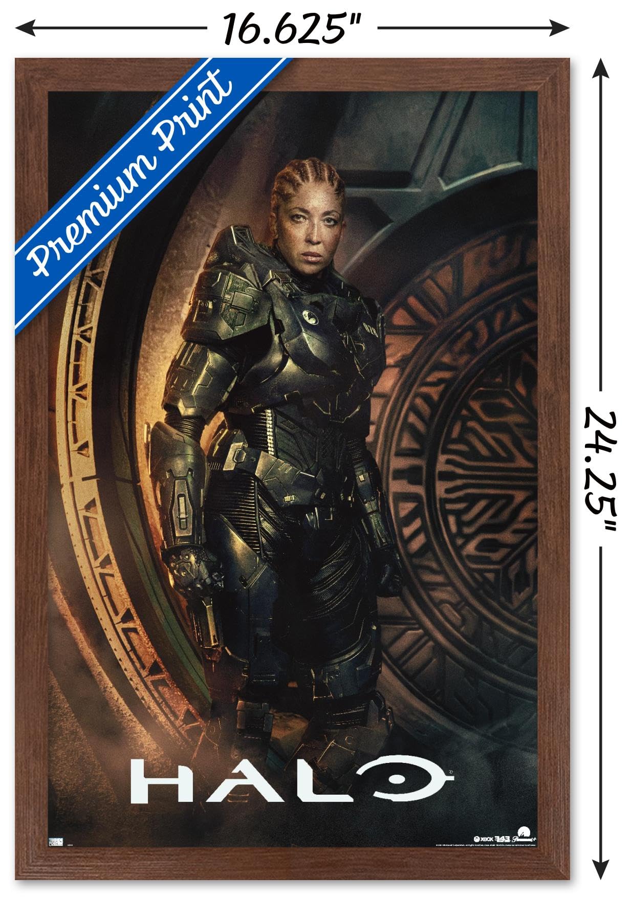 Amazon.co.jp: Trends International Halo: Season 2 - Riz One Sheet