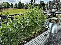 Review Image by LB LB