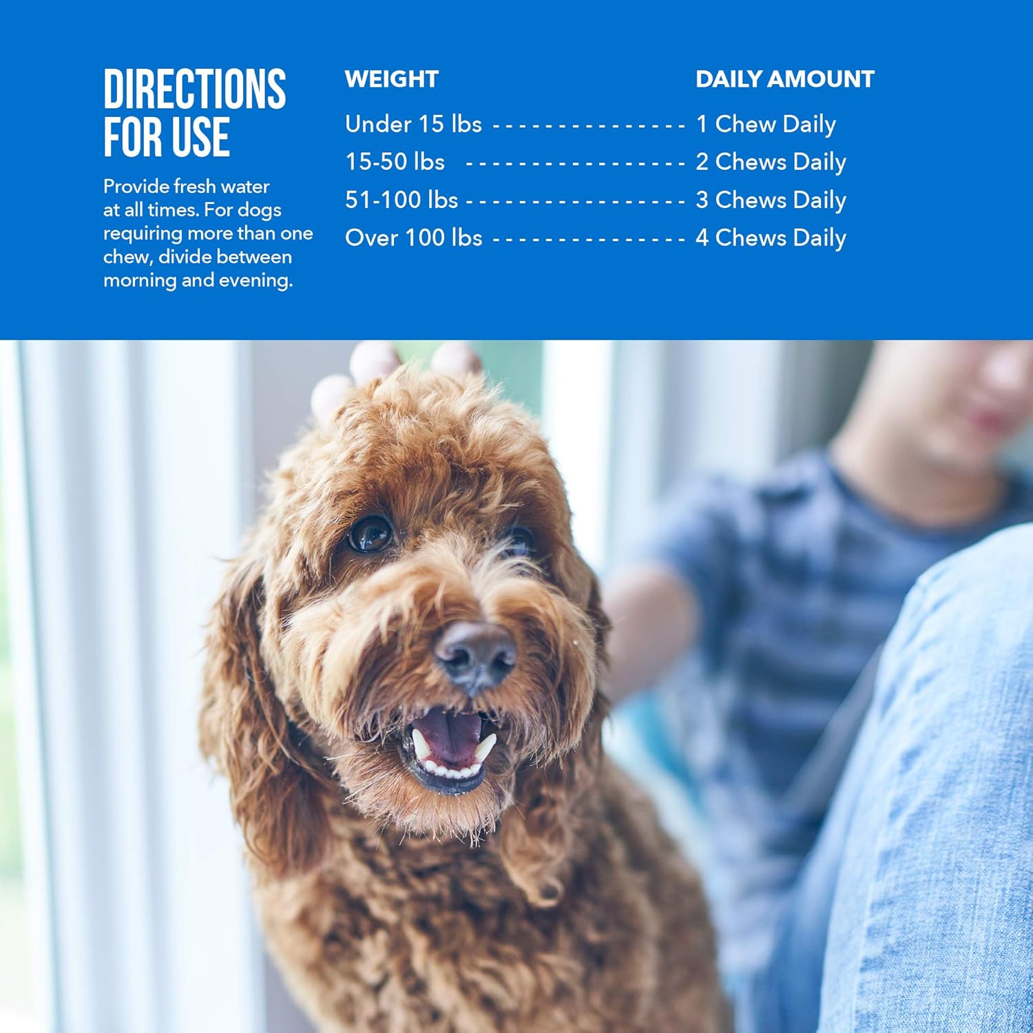 Daily Multi Vitamin Soft Chews for dogs, 120 soft chews : Pet Supplies