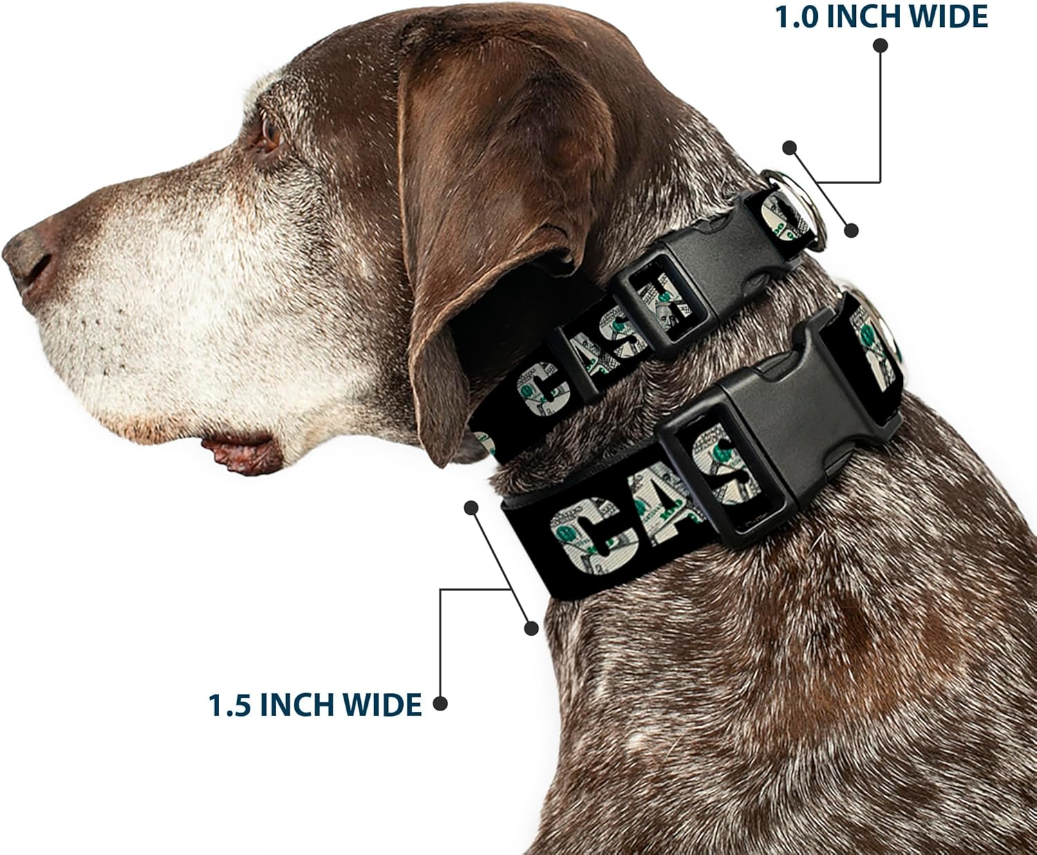 Buckle-Down 16-23" Cash Money $ Black/Dollars Plastic Clip Collar, Wide Medium