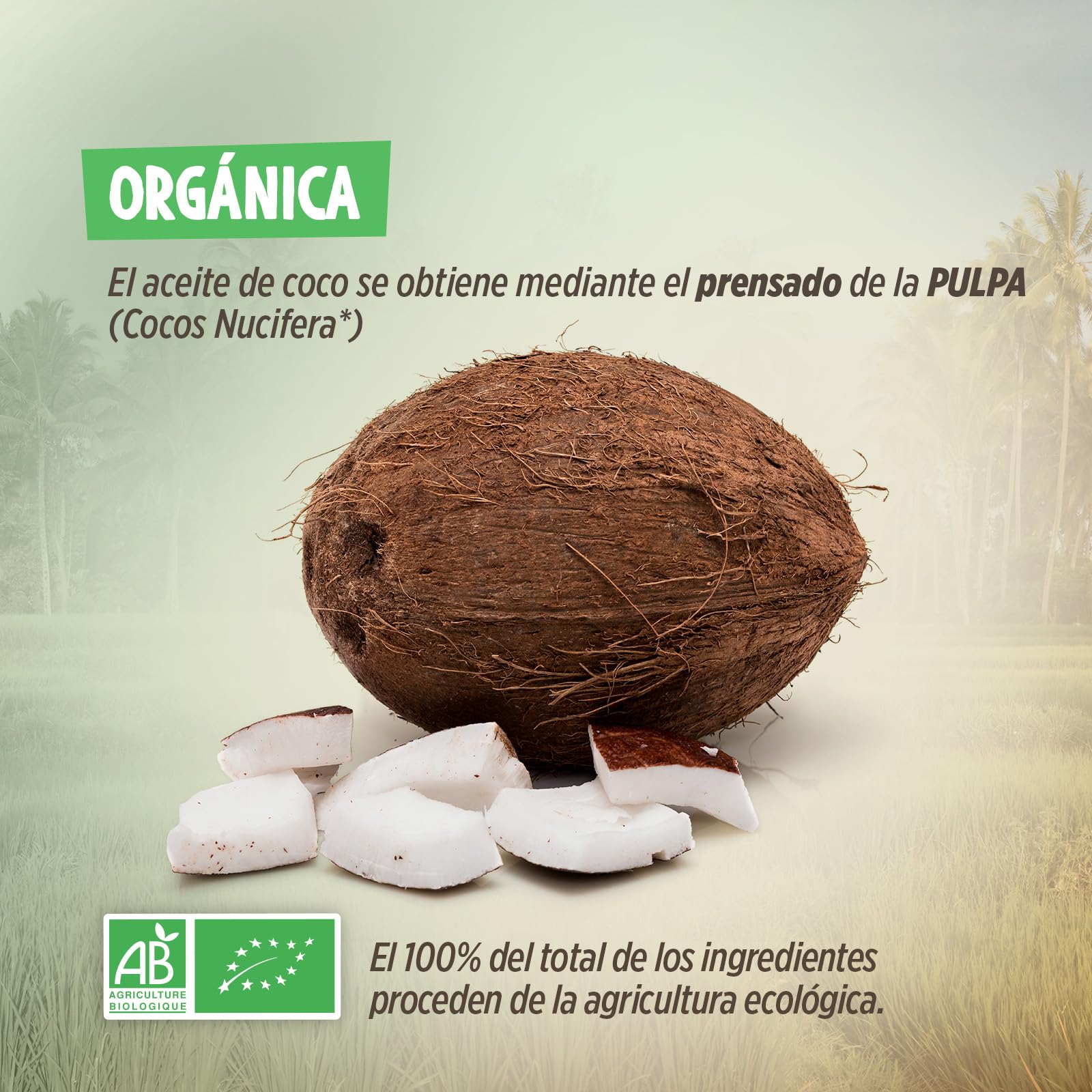 Aceite de Coco Virgen Orgánico 1 L Prensado en Frío Virgen Extra