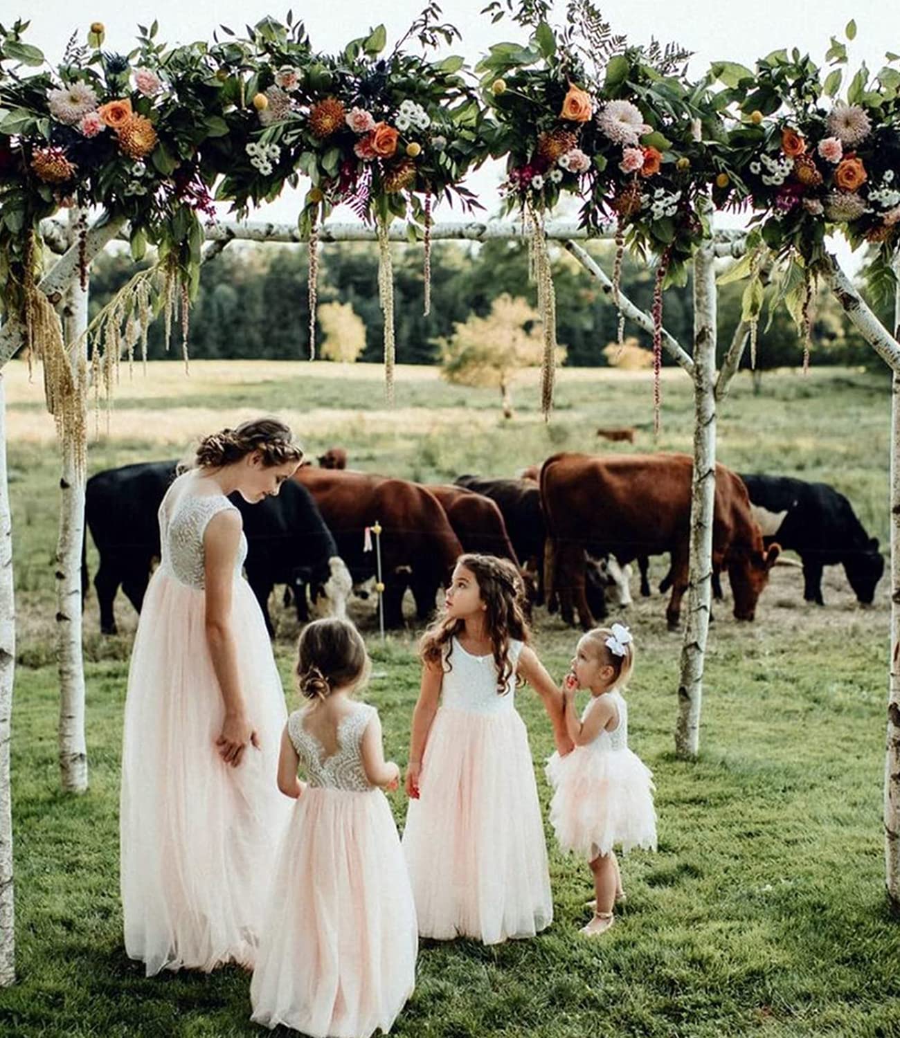 Robe de fête pour fille - Dentelle - Dos en V - Sans manches - Moelleuse - Tulle - Robe de princesse - Robe de princesse - Robe de demoiselle d'honneur
